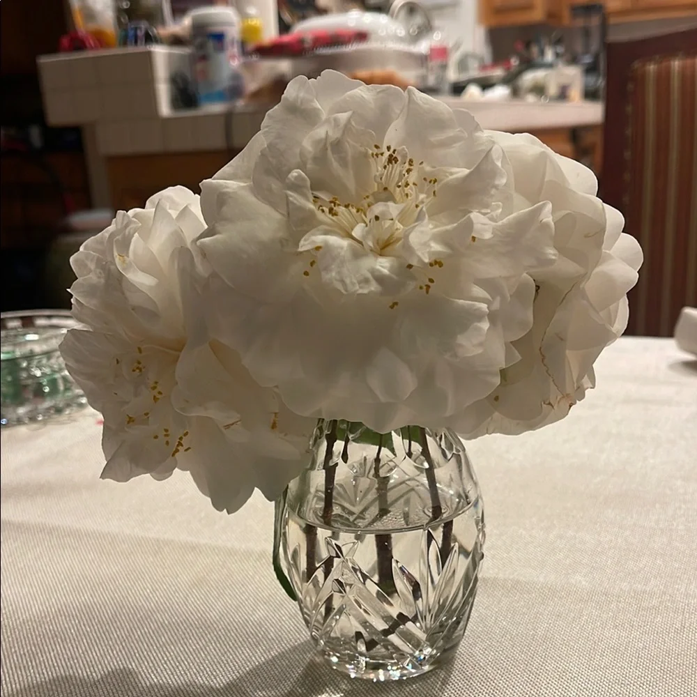 Elegant vintage Waterford Crystal Vase 5” tall stamped